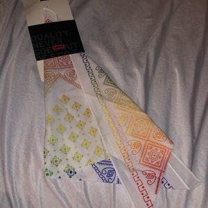 COPY - Levi's Pride Bandana